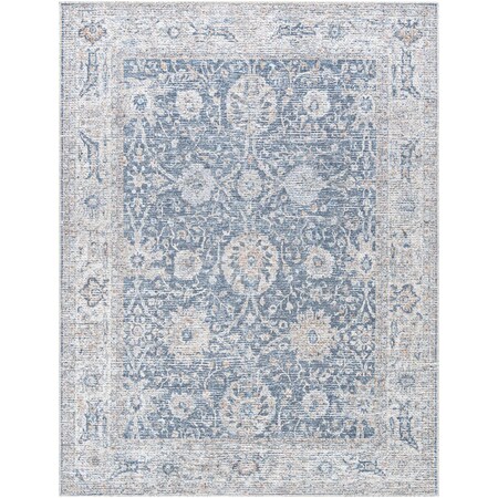 Livabliss Vinny VNY-2306 Machine Washable Area Rug VNY2306-679